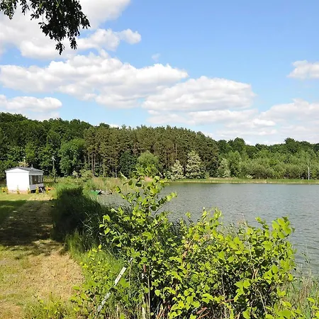 In Near Puszcza Bukowa, Cleaning Included